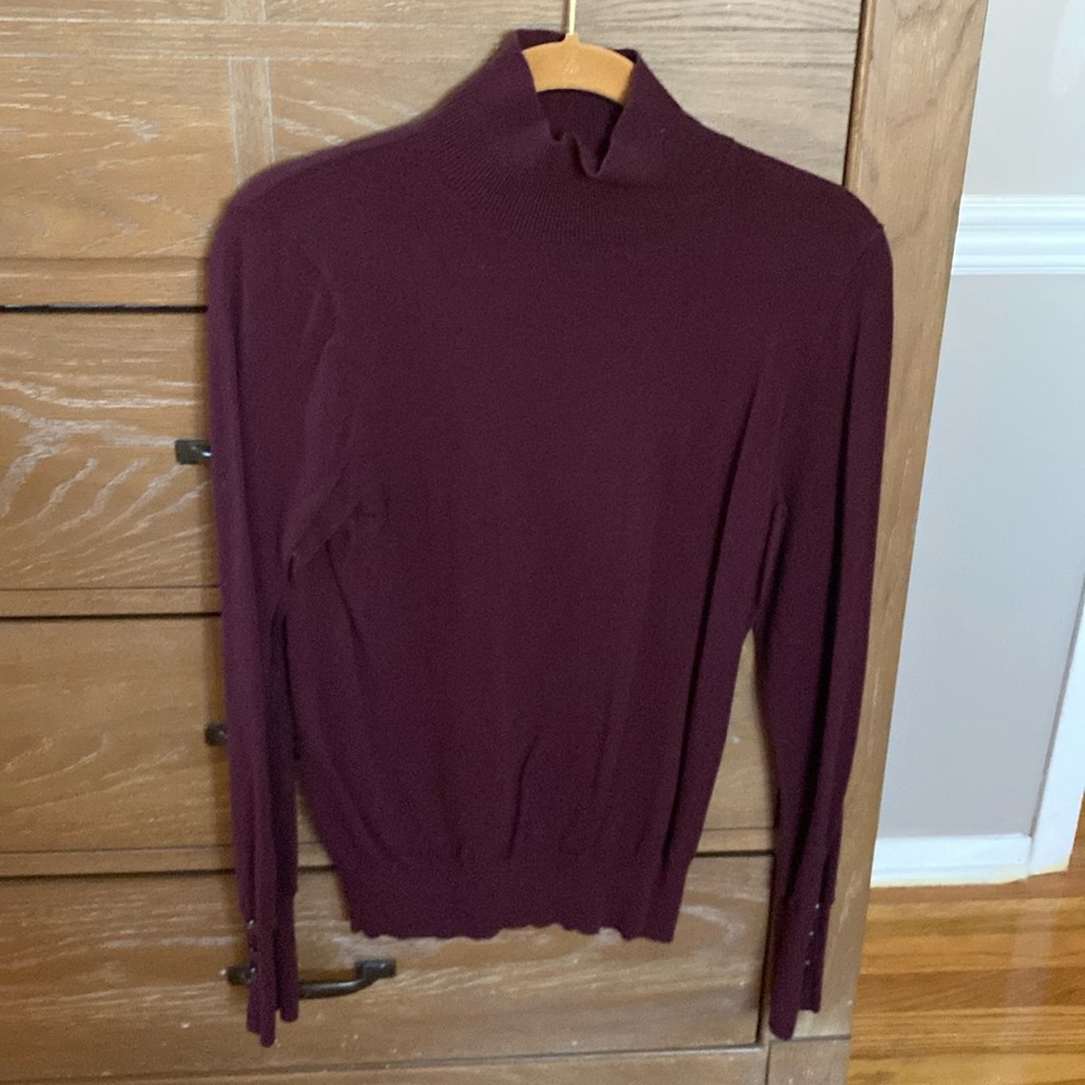 Ann Taylor sweater turtleneck
